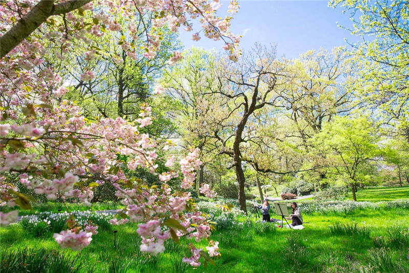 [芳香花园之旅] 纽约植物园 | the new york botanical garden