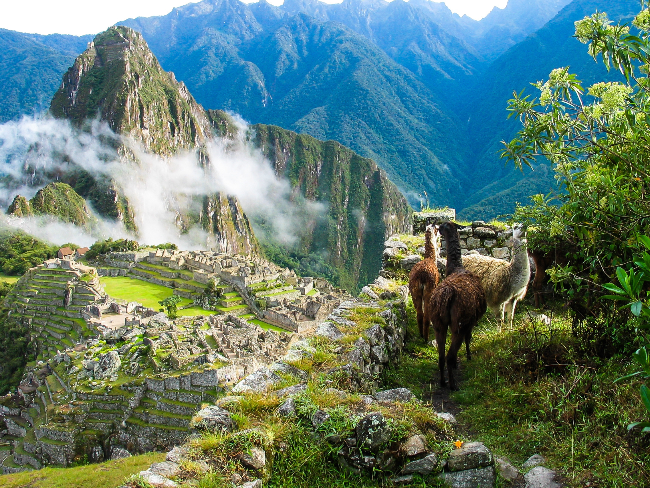 Machu Picchu, Per?: guida ai luoghi da visitare - Lonely Planet